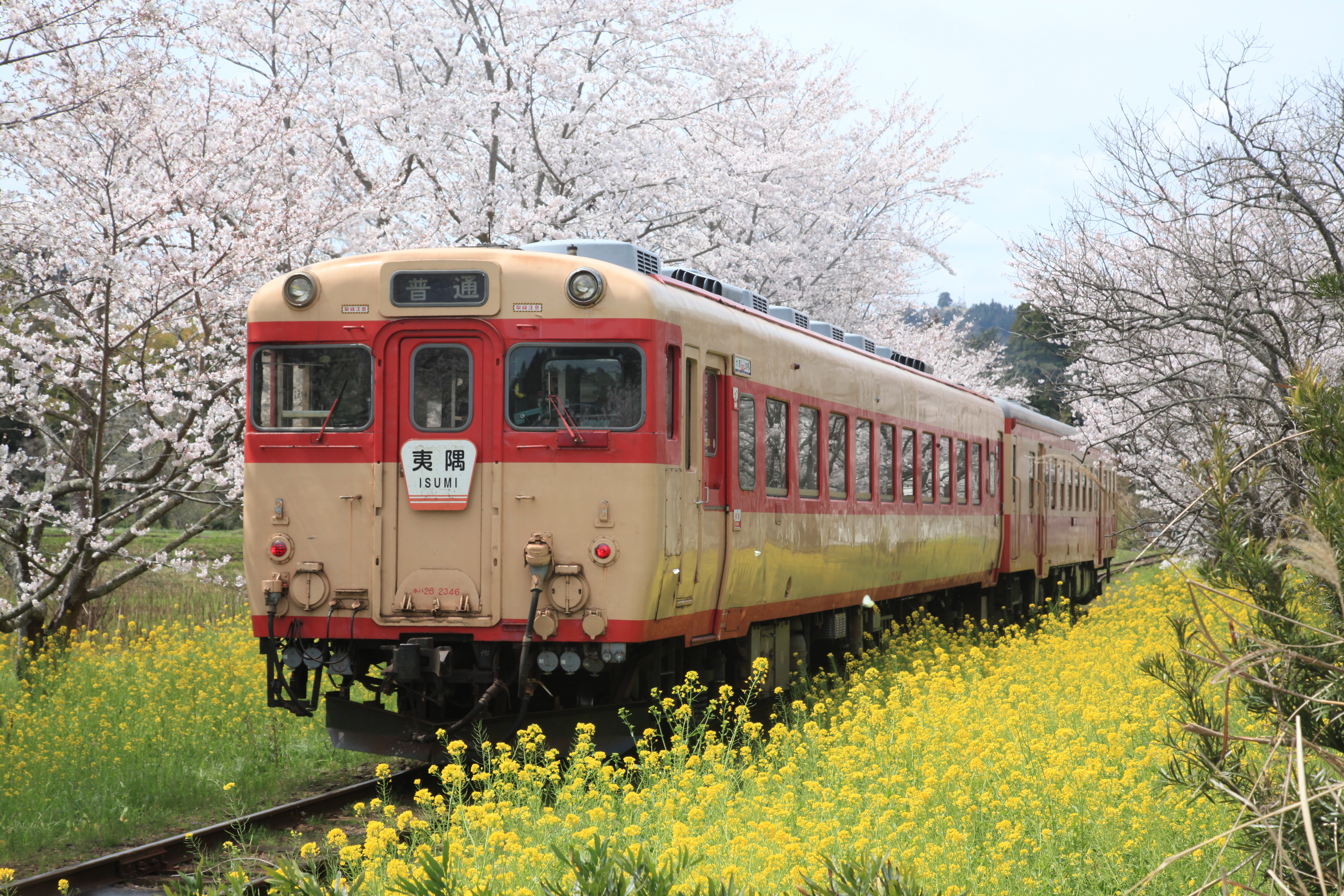 いすみ鉄道キハ２８（いすみ鉄道提供）.JPG