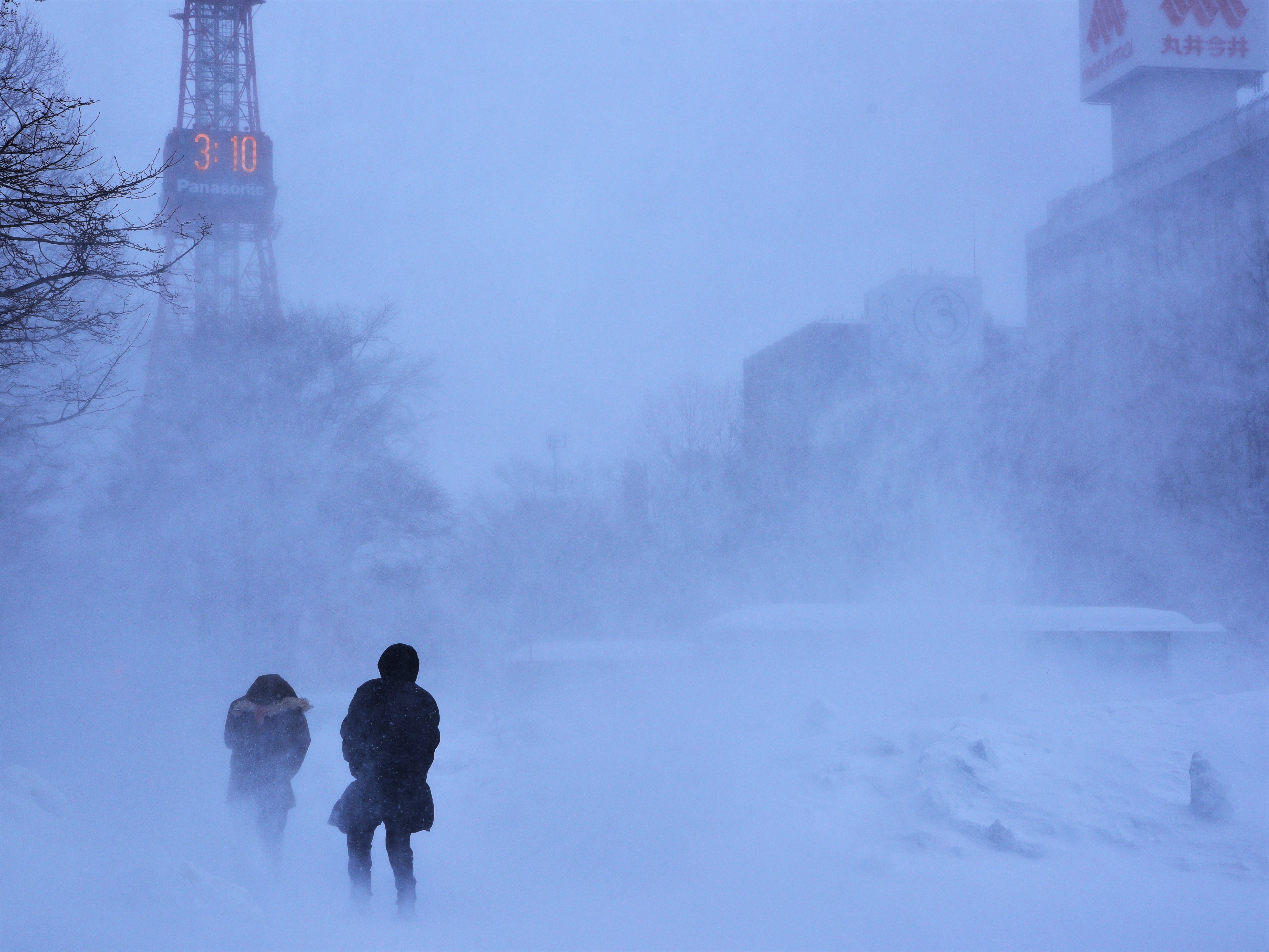 情報までに「爆弾低気圧で暴風雪に見舞われる札幌＿大通公園＿21日15じごろ」（三浦撮影）.JPG